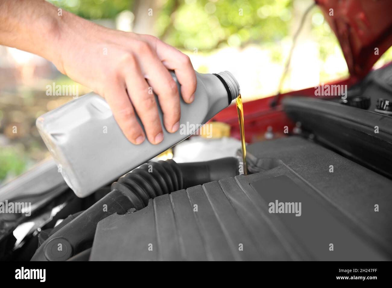 Mechanic pouring oil into car engine, closeup Stock Photo Alamy