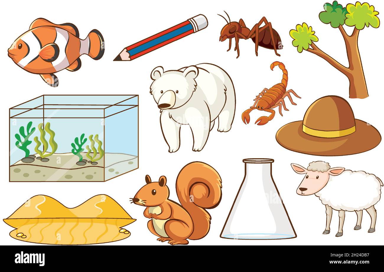 Set of various animals and objects illustration Stock Vector Image ...