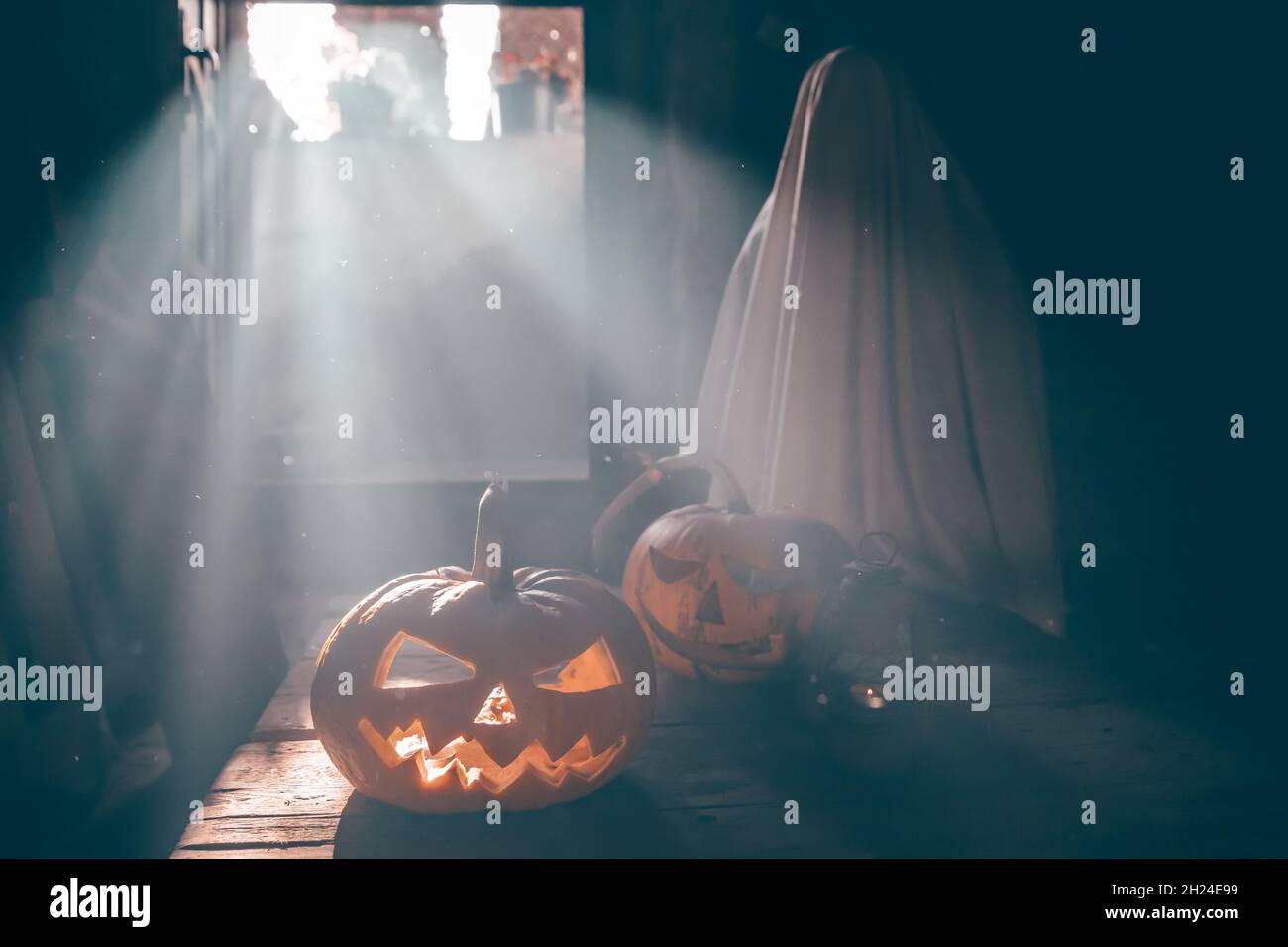 Jack O' Lanterns glowing in smoky fantasy night. Halloween background ...
