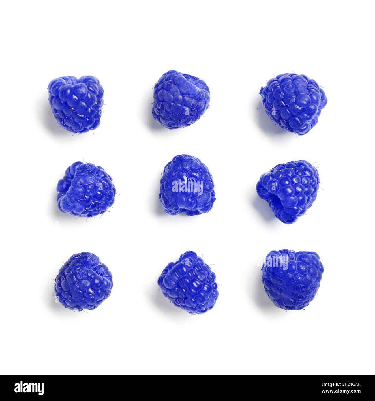 Set with blue raspberries (Rubus leucodermis) on white background, top ...