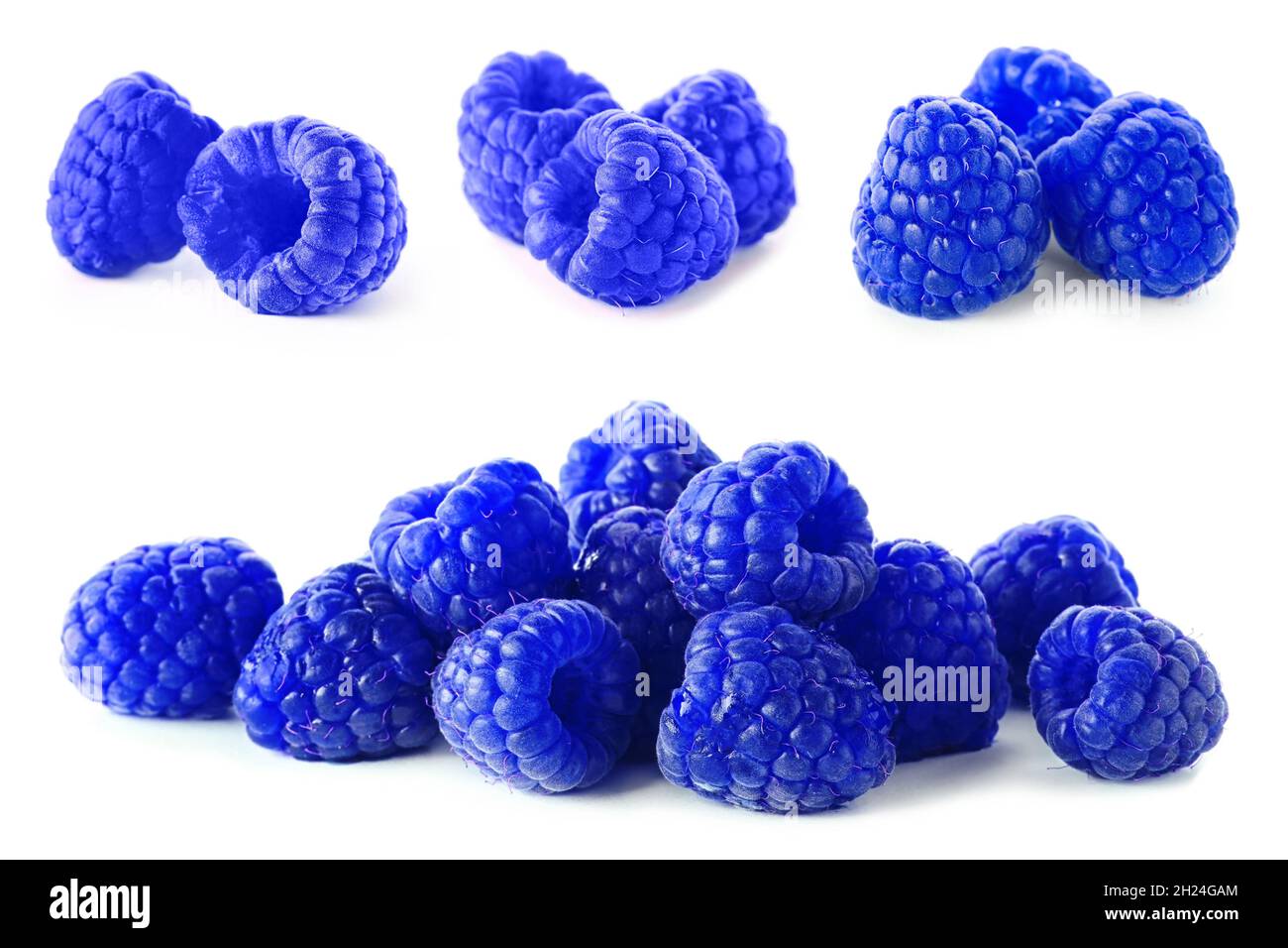 Set with blue raspberries (Rubus leucodermis) on white background Stock ...