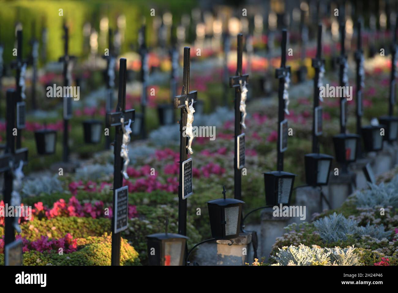 Grabkreuze in einer Reihe auf dem Friedhof Wels in der Abendsonne, Österreich, Europa - Grave crosses in a row in the cemetery Wels in the evening sun Stock Photo