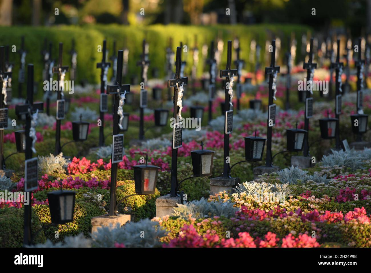 Grabkreuze in einer Reihe auf dem Friedhof Wels in der Abendsonne, Österreich, Europa - Grave crosses in a row in the cemetery Wels in the evening sun Stock Photo