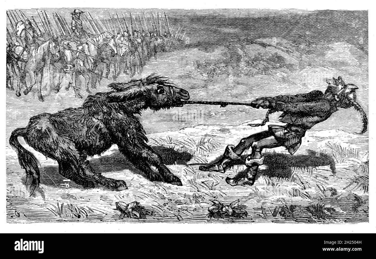 The Sensible Ass from AEsop's fables Illustrated by Joseph Benjamin ...