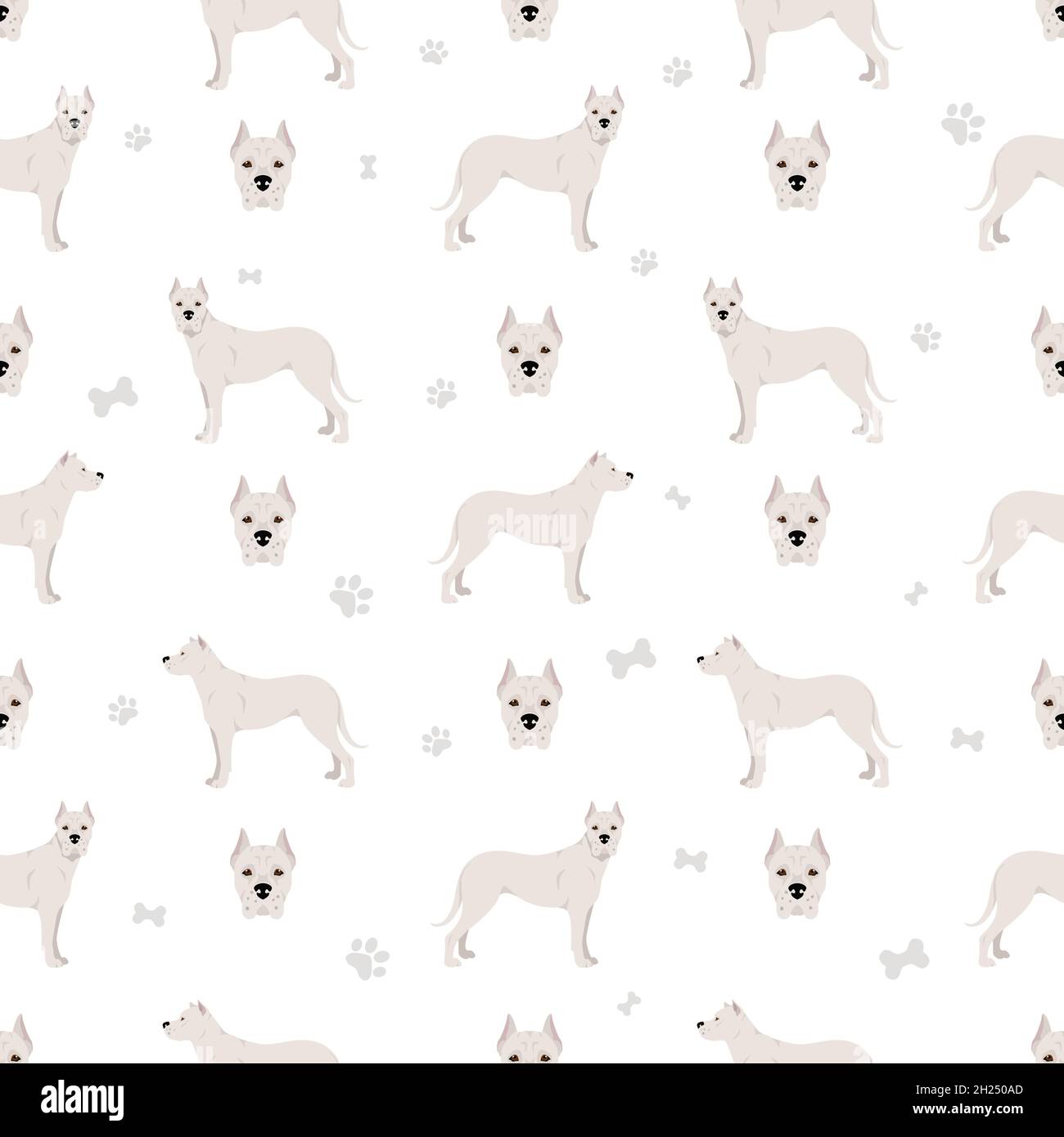 Dogo Argentino seamless pattern. Different poses, coat colors set.  Vector illustration Stock Vector