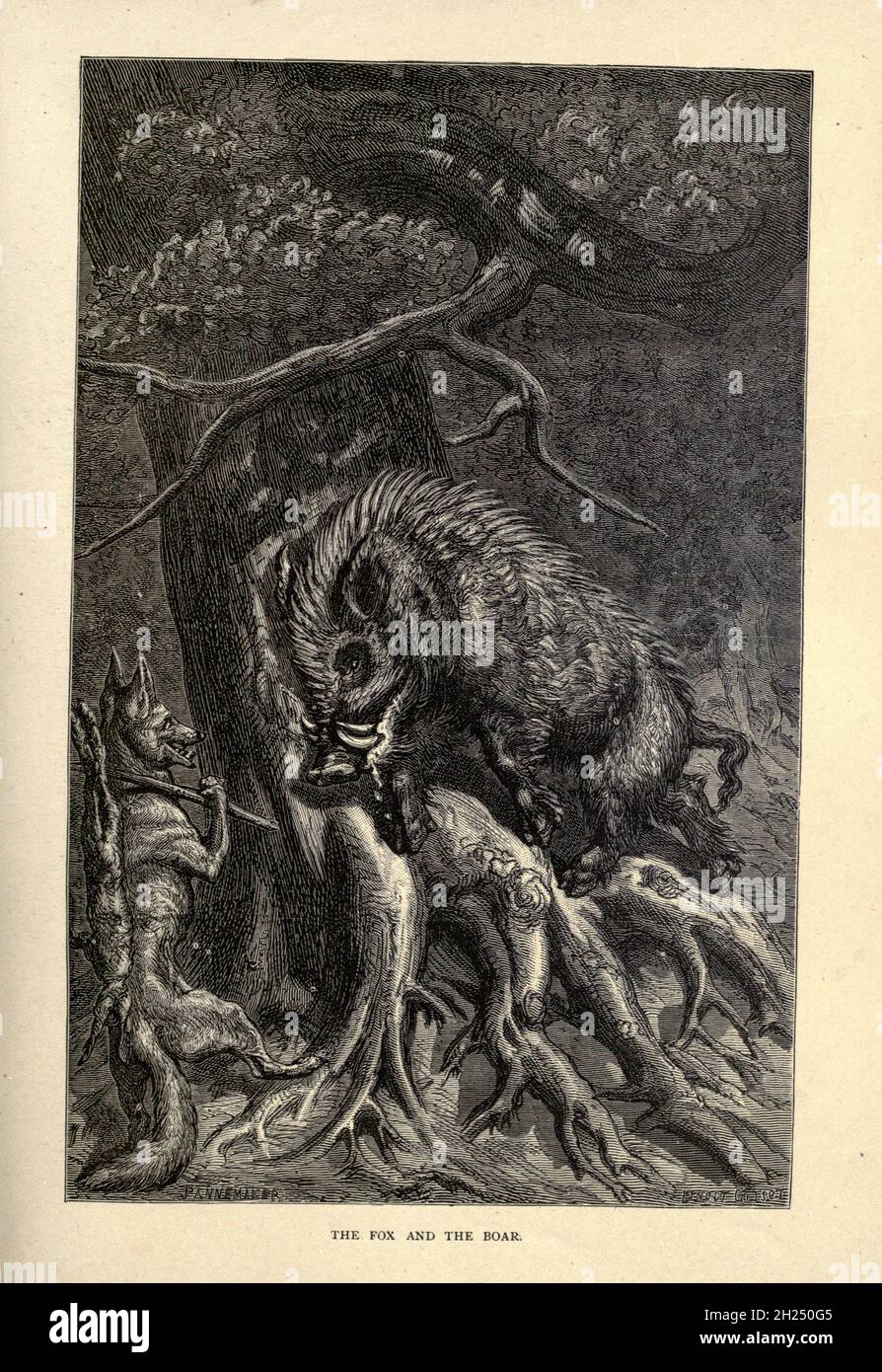 The Fox and the Boar from AEsop's fables Illustrated by Joseph Benjamin ...