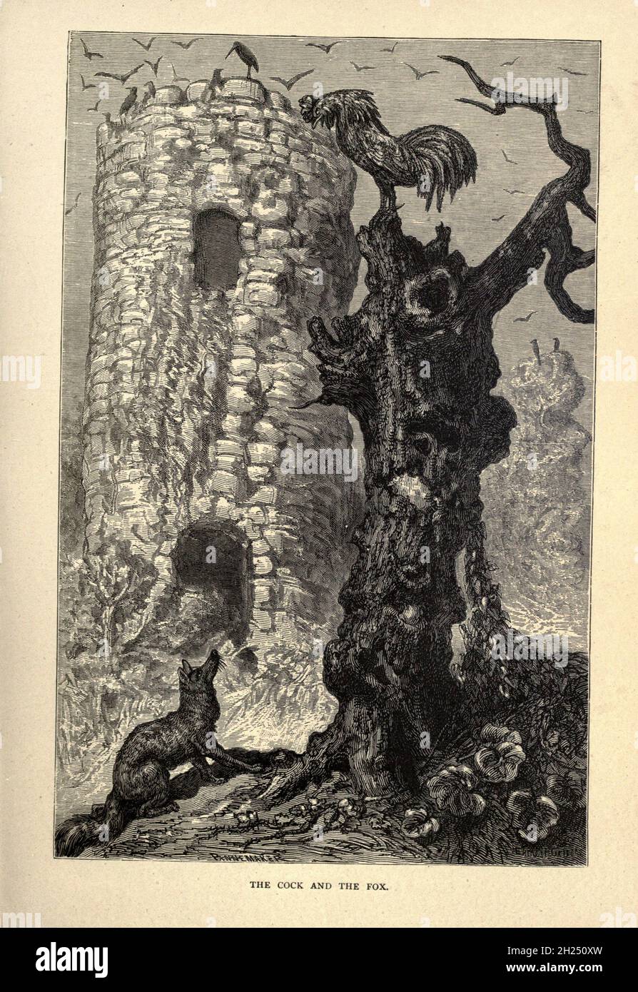 The Cock and the Fox from AEsop's fables Illustrated by Joseph Benjamin ...