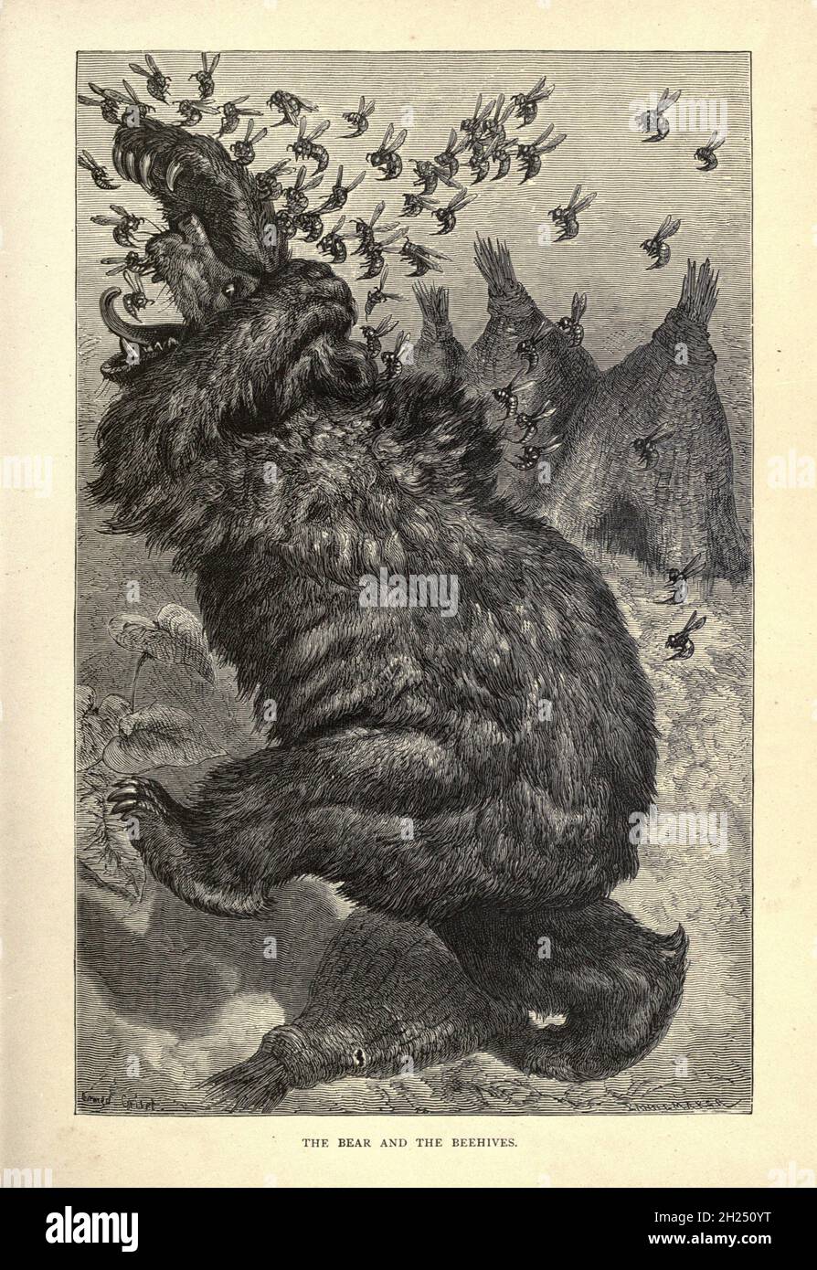 The Bear and the Beehives from AEsop's fables Illustrated by Joseph ...