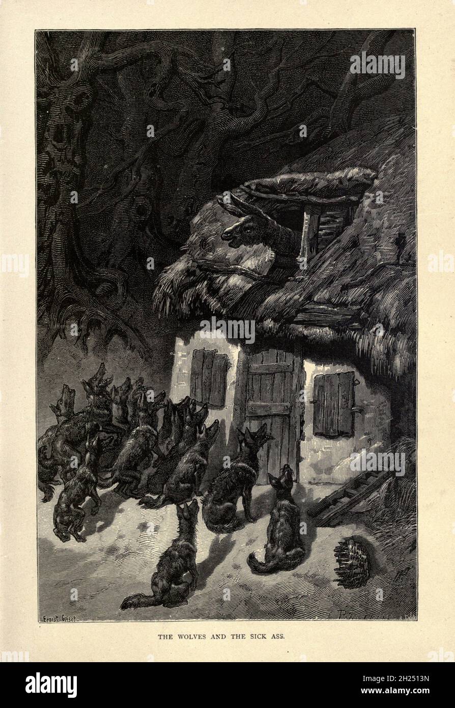 The Wolves and the Sick Ass from AEsop's fables Illustrated by Joseph ...