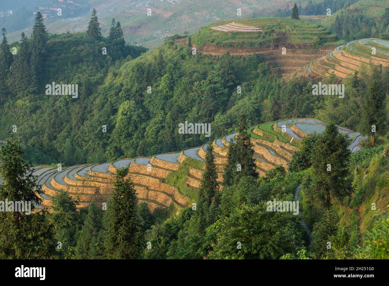 The Ping'an terraces of the Longi rice terraces in Longshen, Guanxi, China. Stock Photo
