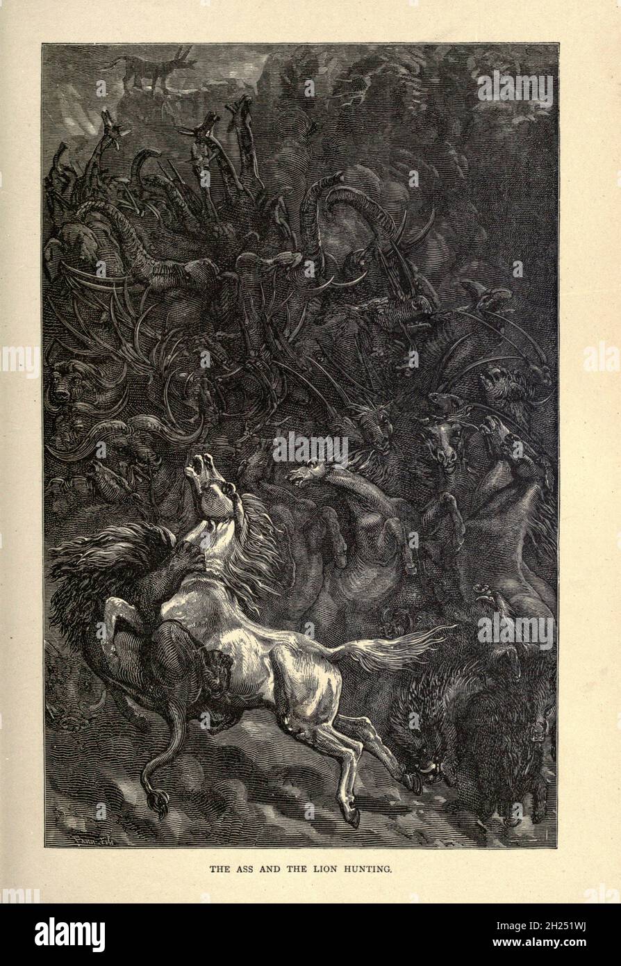 The Ass and the Lion hunting from AEsop's fables Illustrated by Joseph ...