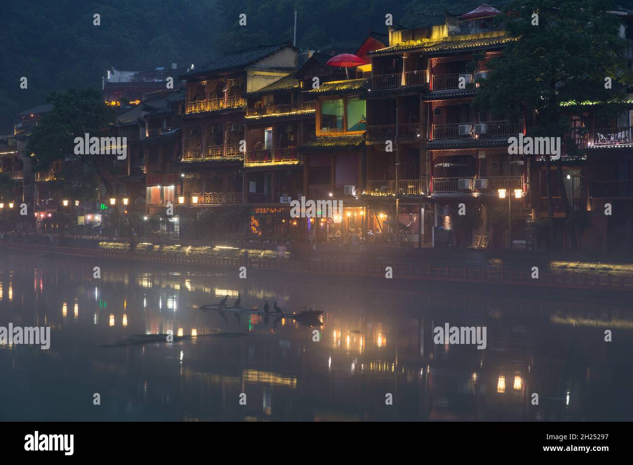 Cormorants on a raft in the Tuojiang River with the city of Fenghuang lit up at night. China. Stock Photo