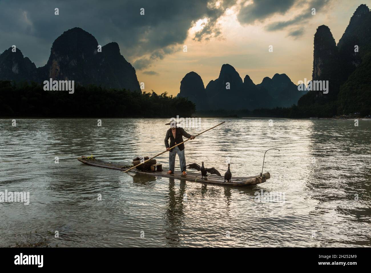 A traditional cormorant fisherman on a bamboo raft with his cormorants ...