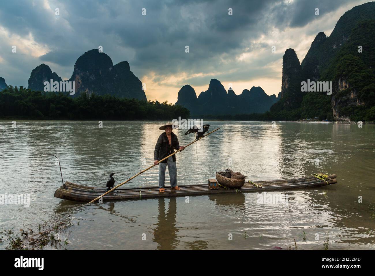 A traditional cormorant fisherman on a bamboo raft with his cormorants ...