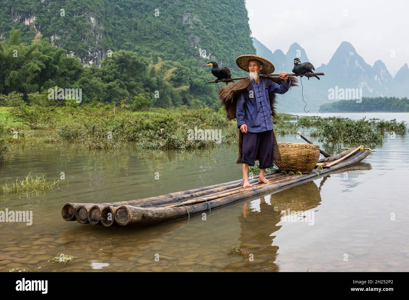 An elderly cormorant fisherman with cormorants perched on a bamboo