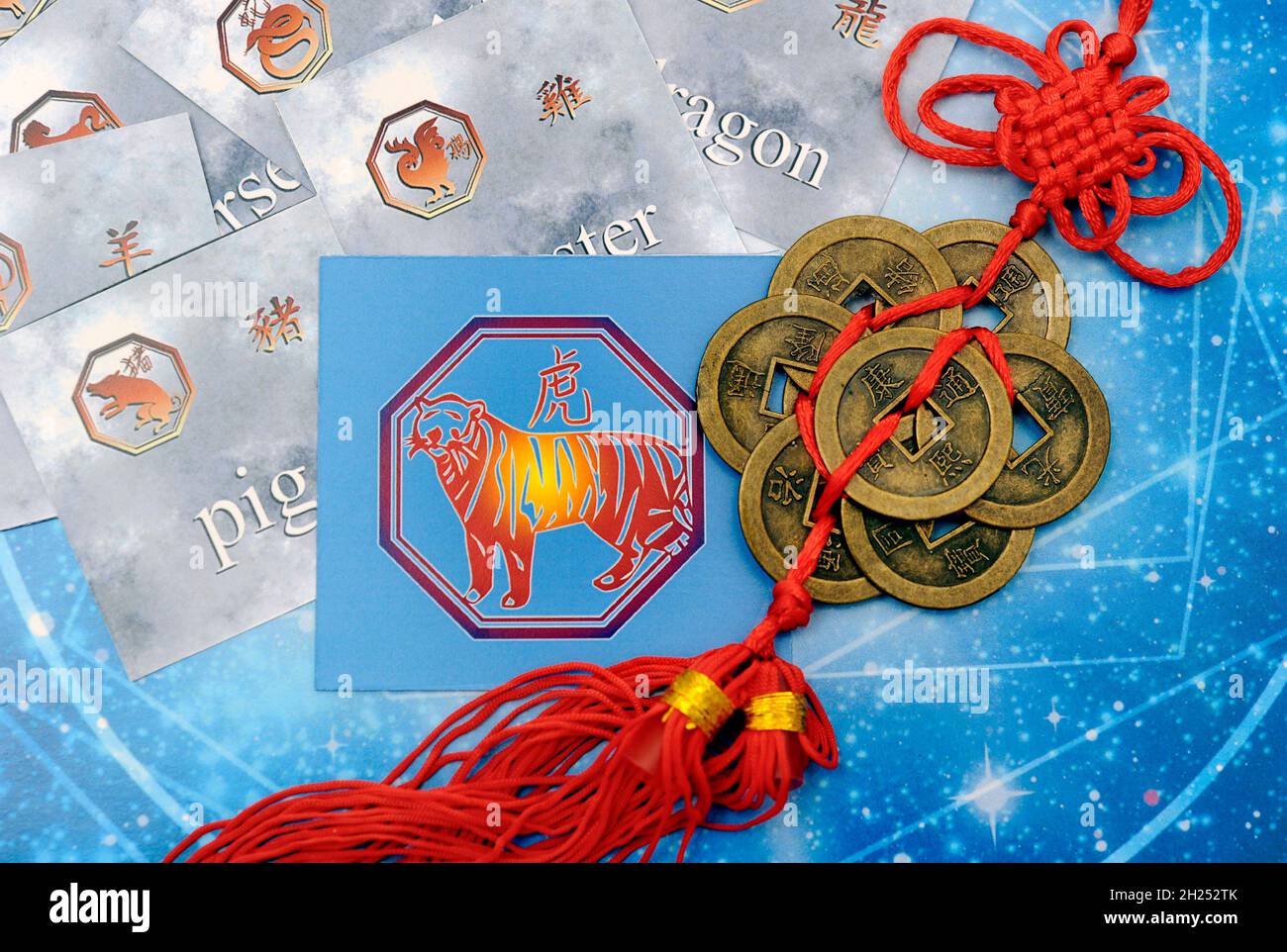 Chinese astrology with the astrological sign of Tiger, year of tiger concept Stock Photo