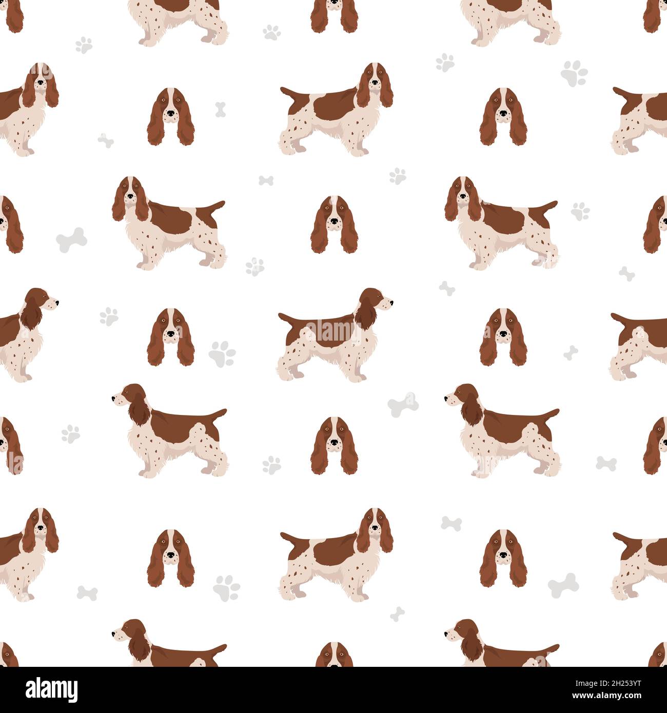 English cocker spaniel seamless pattern. Different poses, coat colors