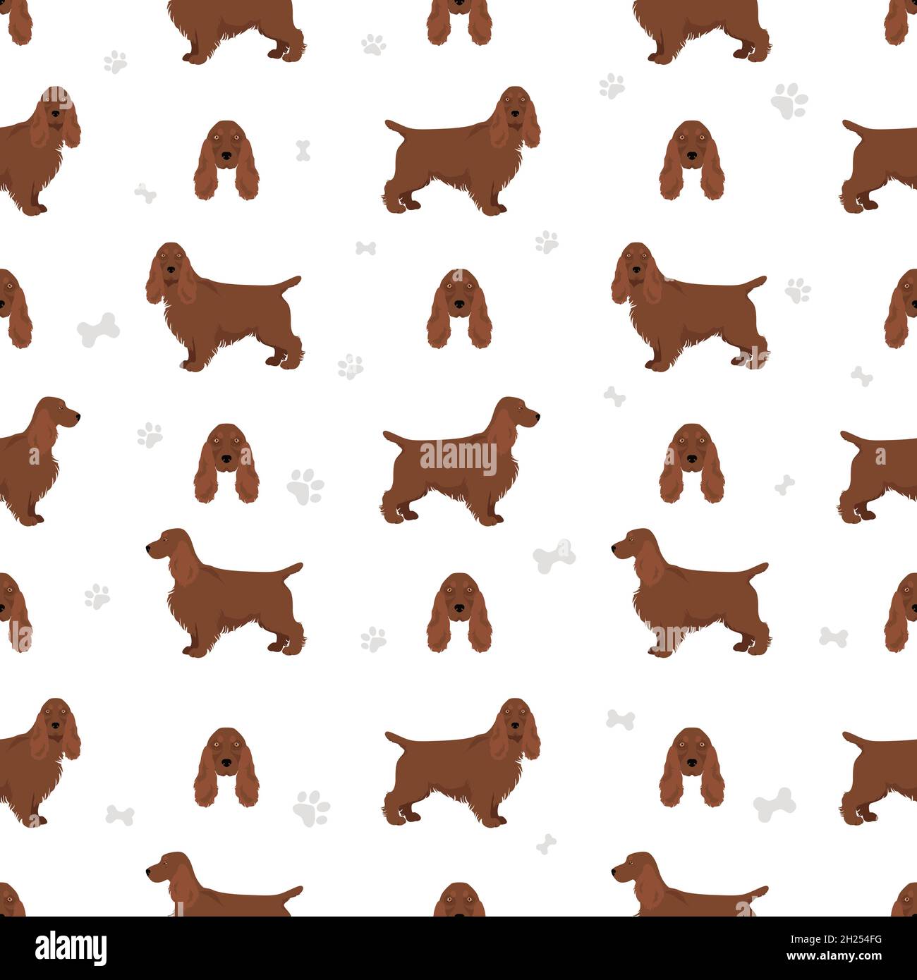British spaniel Stock Vector Images - Alamy