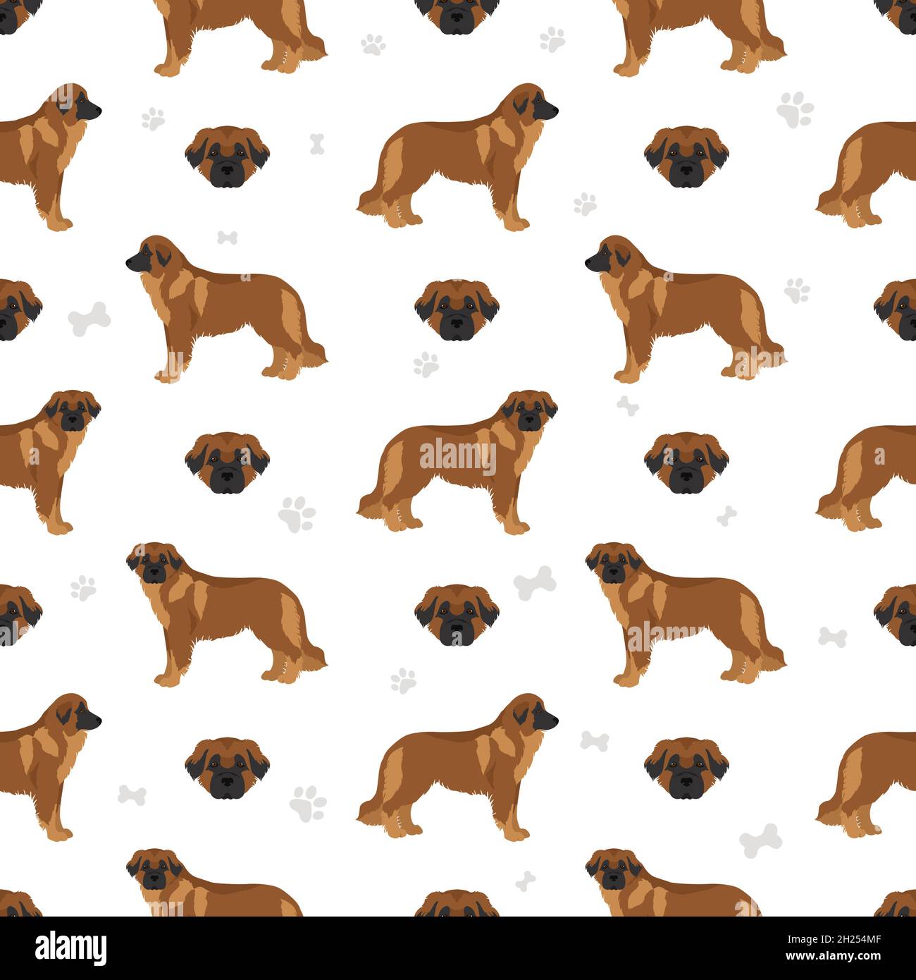 Estrela mountain dog seamless pattern. Different poses, coat colors set.  Vector illustration Stock Vector