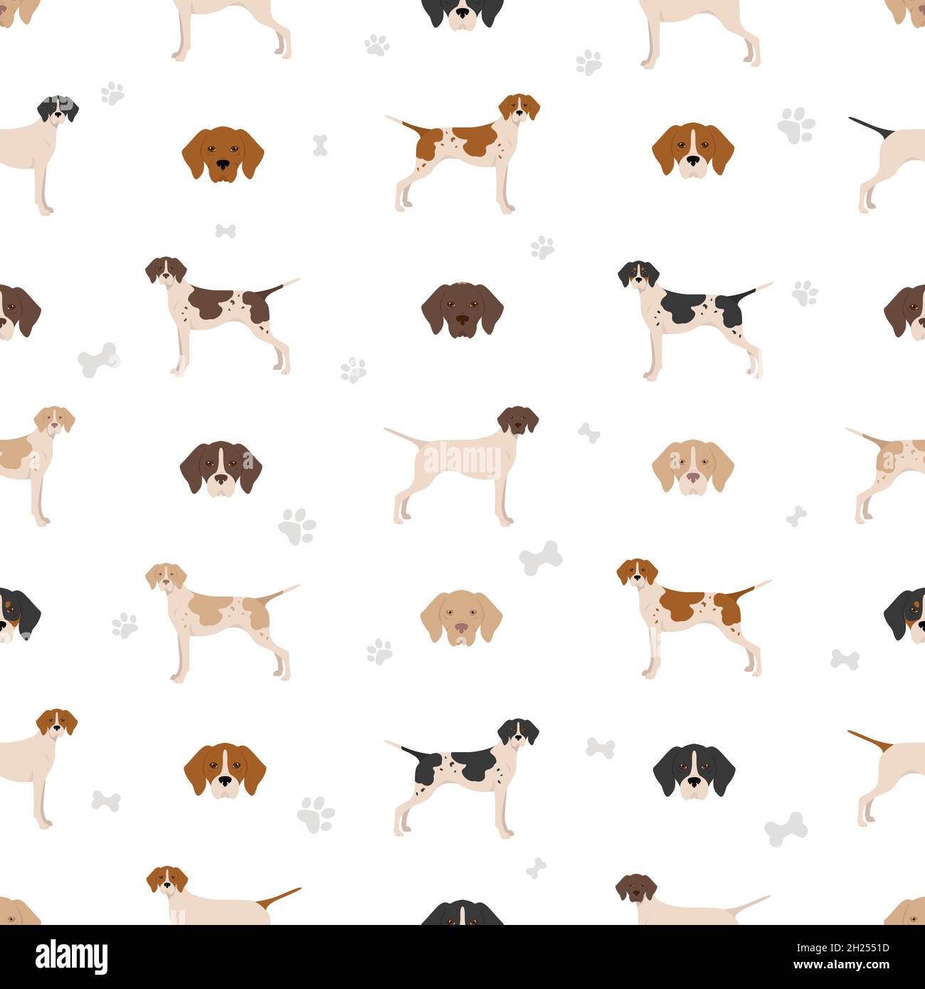 English pointer seamless pattern. Different poses, coat colors set