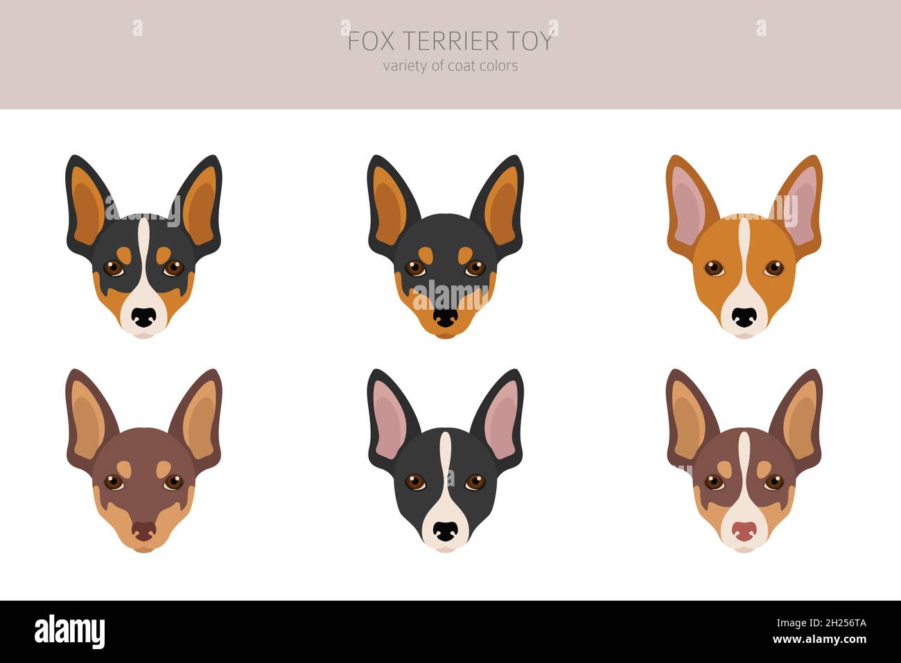 Fox terrier toy clipart. Different poses, coat colors set. Vector