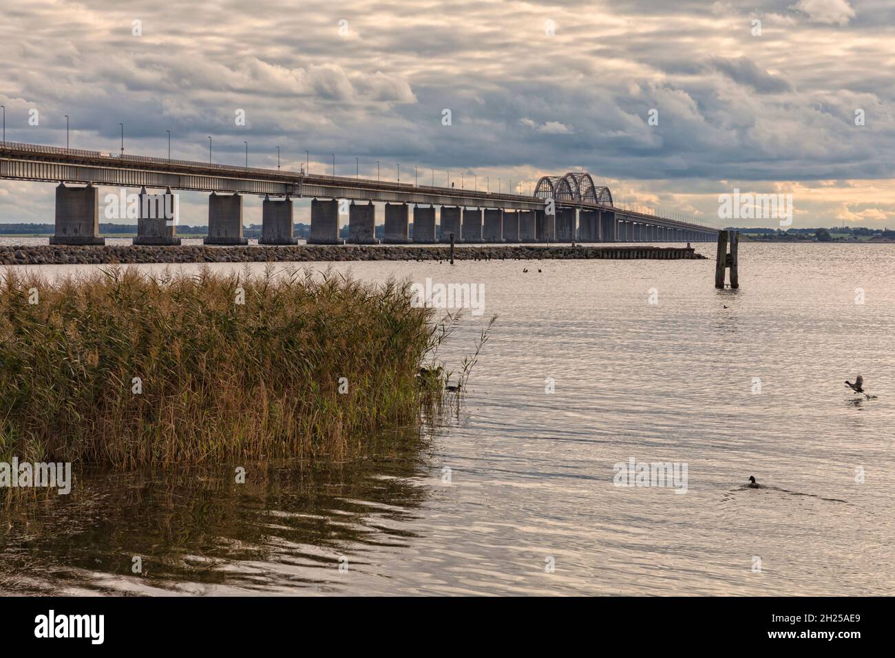 Storstrømsbroen bridge between Danish islands of Zealand and Falster ...