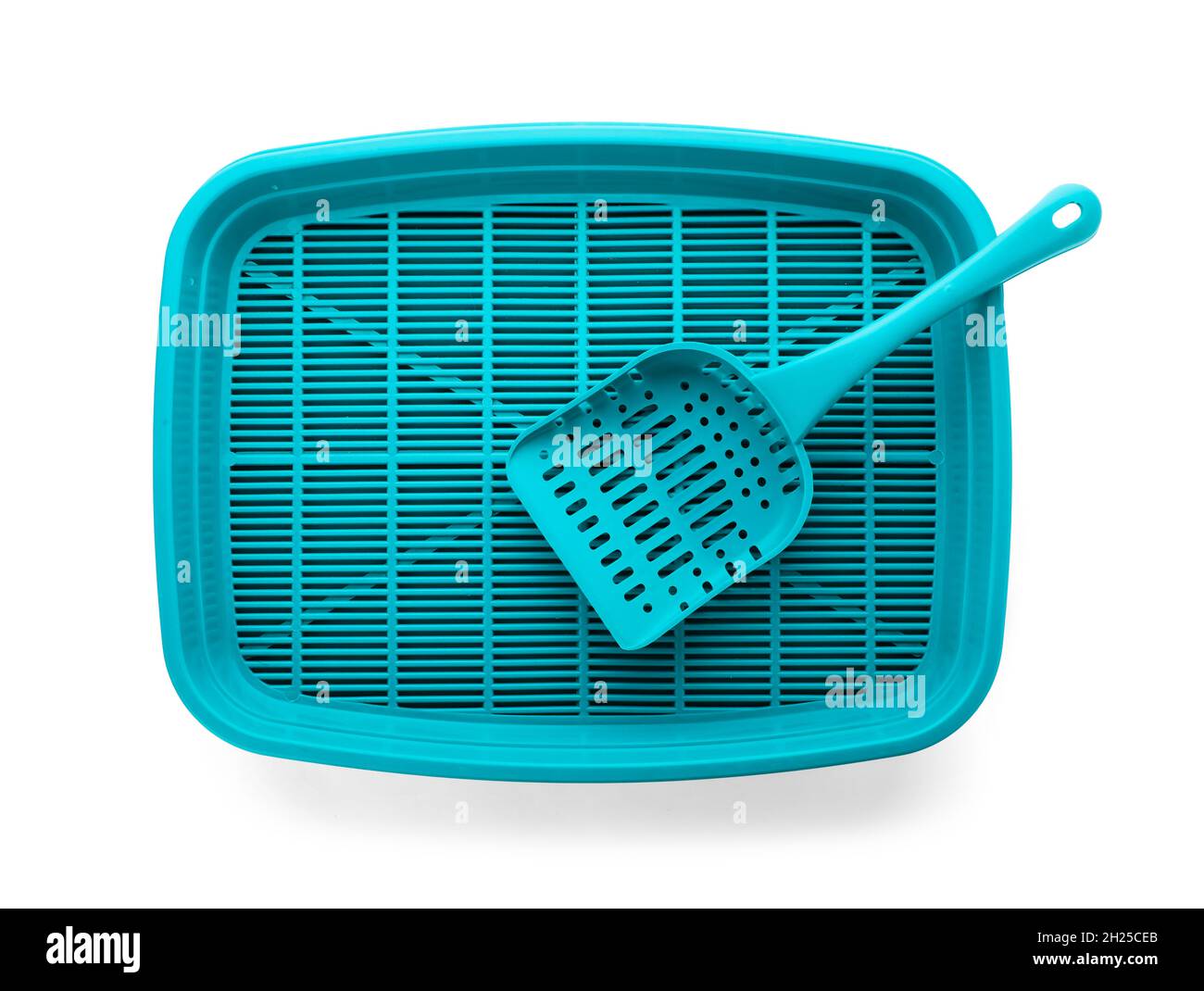 Litter tray and scoop for cat on white background. Pet accessories
