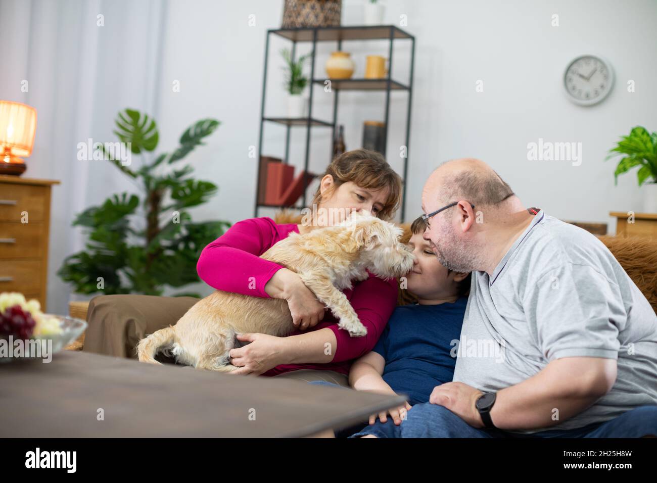 A dog licks the face of a boy who is sitting on the living room sofa with his parents Stock