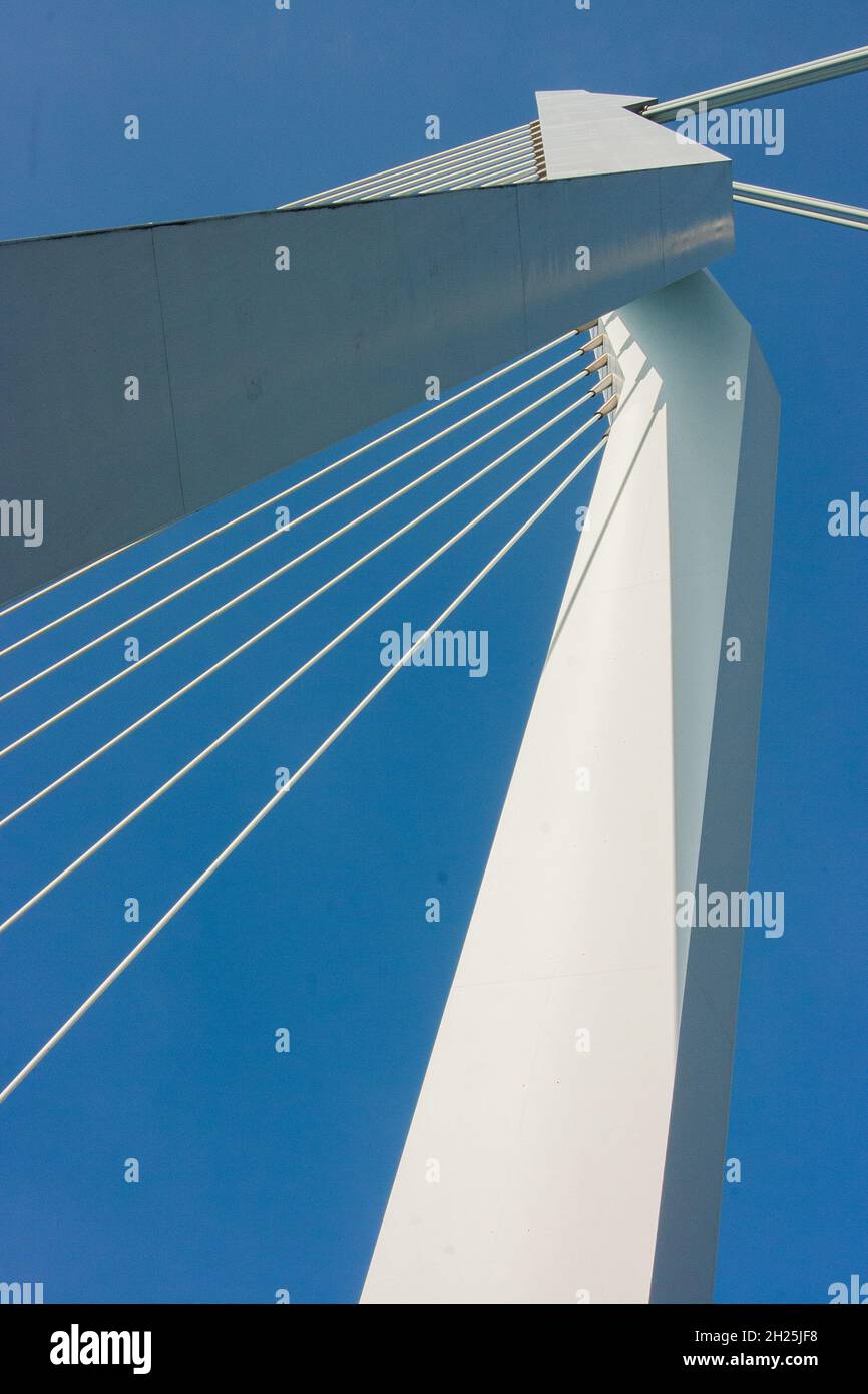 Detail of Erasmus Bridge, Rotterdam, Netherlands Stock Photo