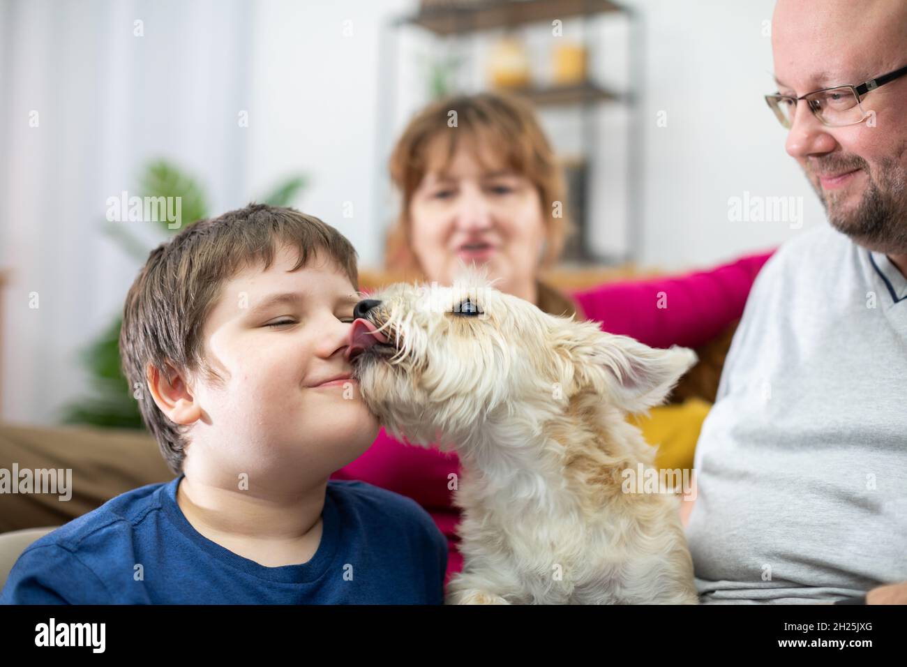 Why Does My Dog Lick Where He Sits