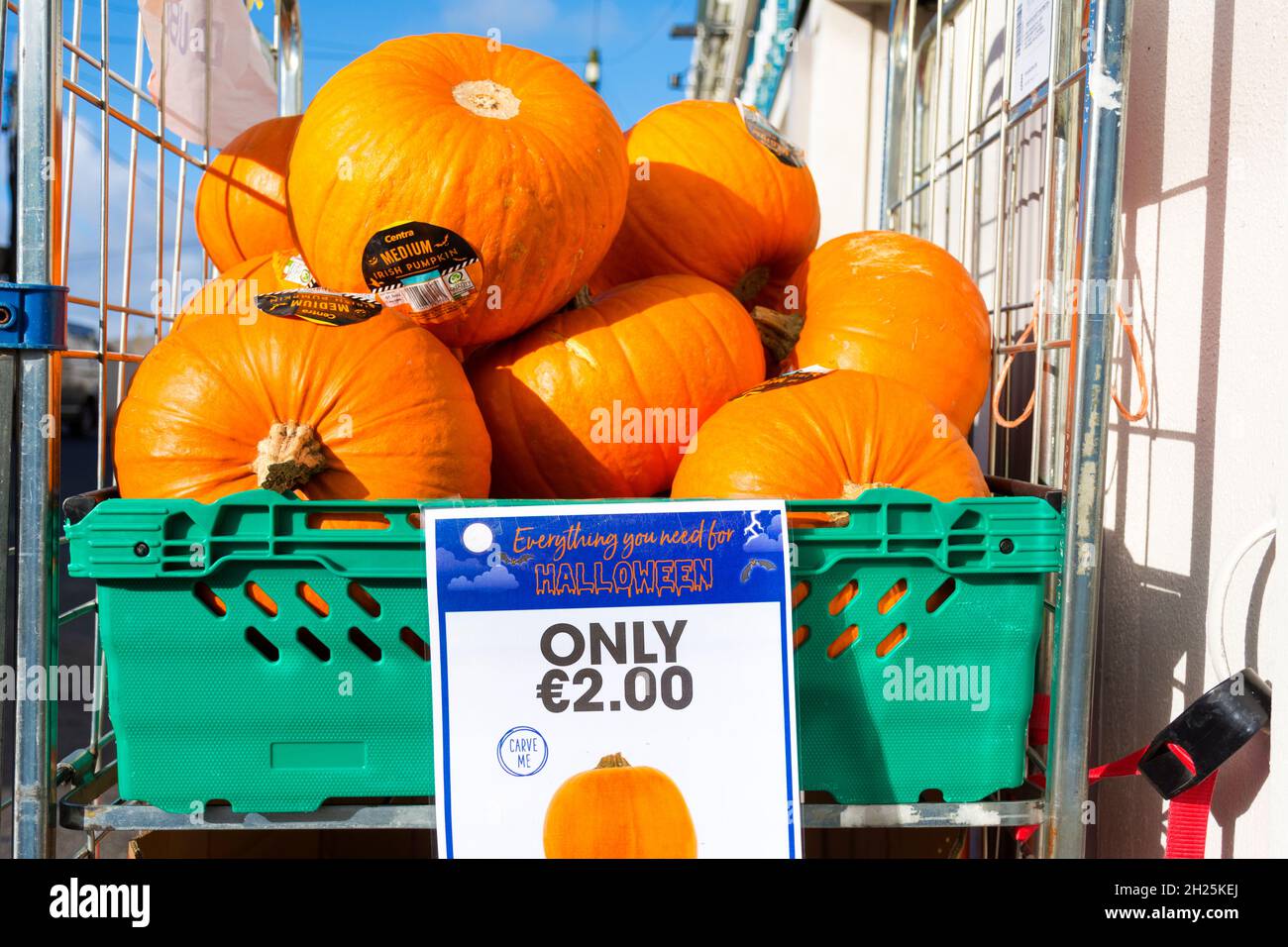 Halloween pumpkins for sale. Stock Photo