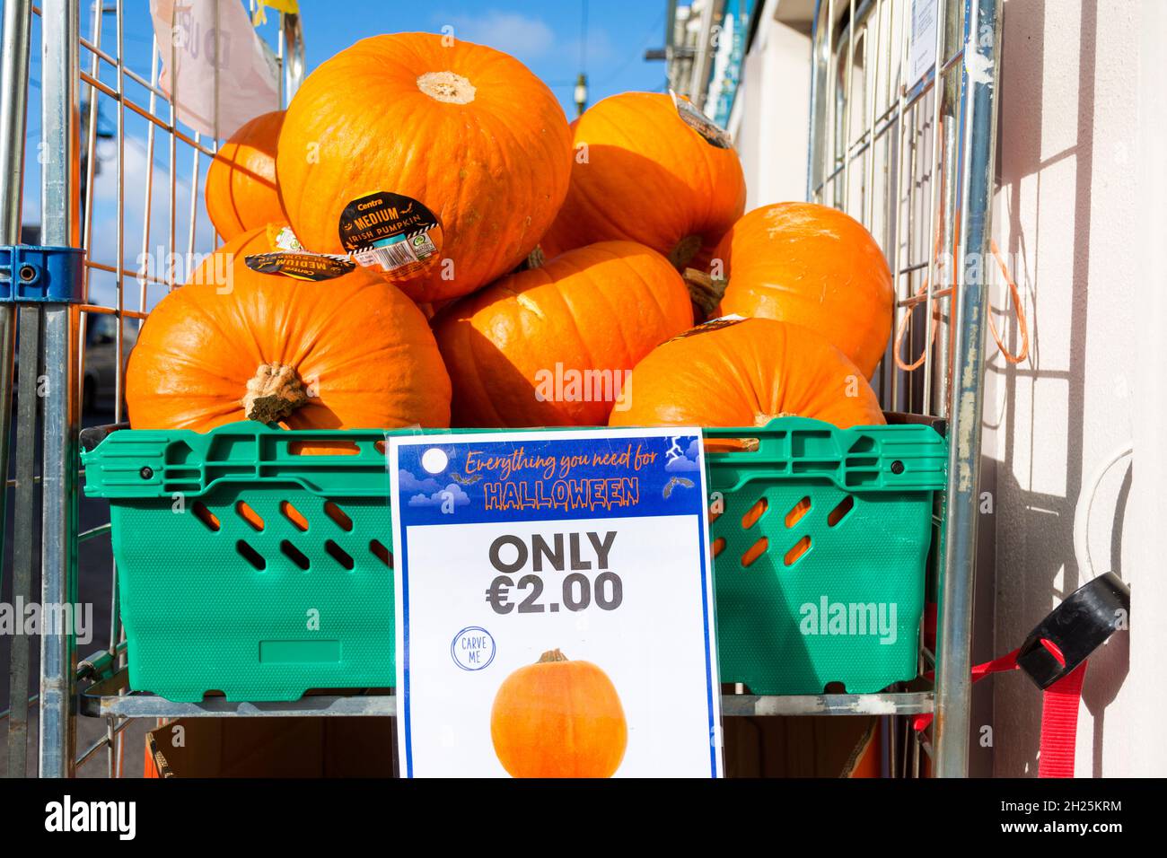 Halloween pumpkins for sale Stock Photo Alamy