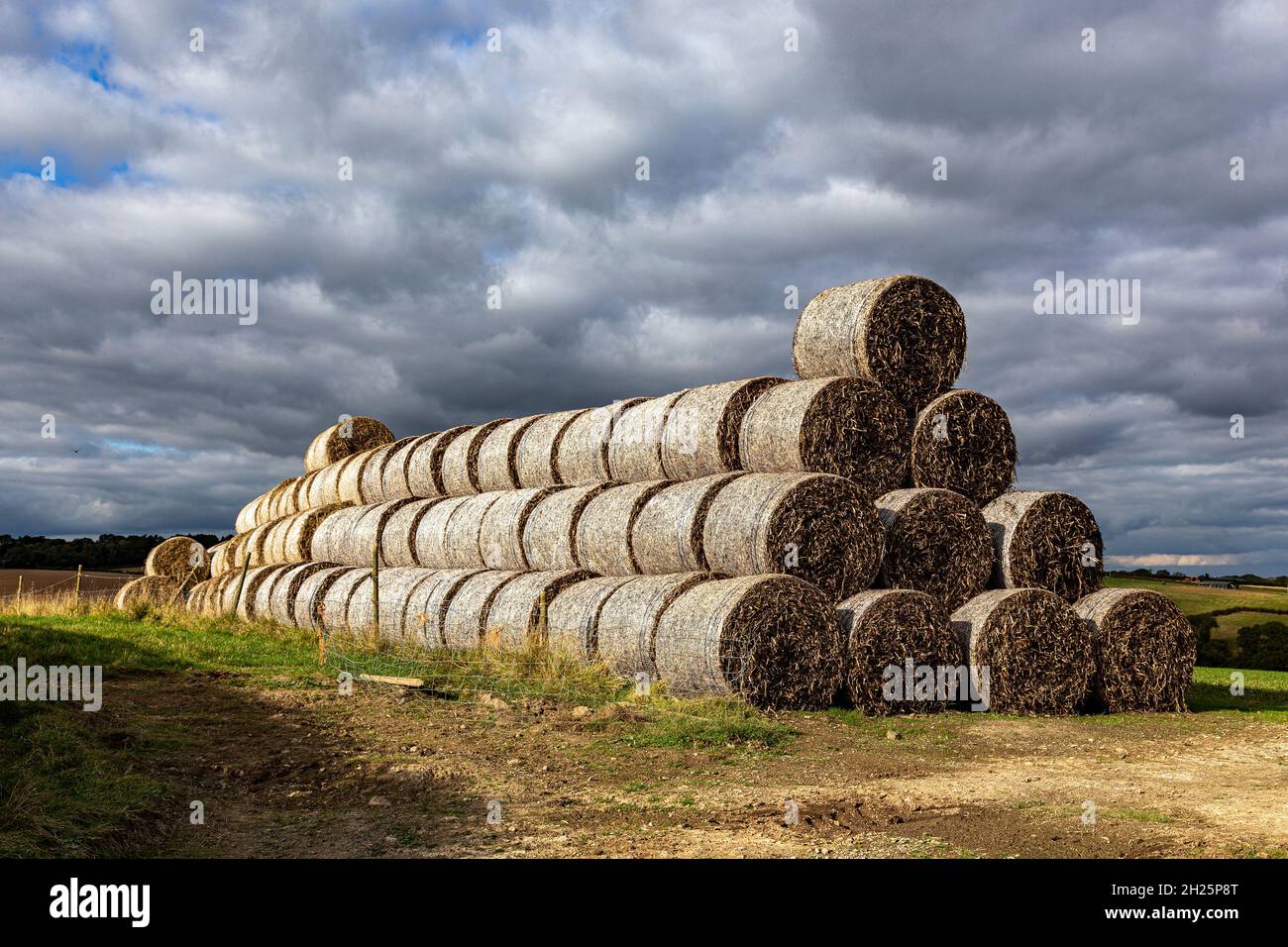 stack of bales in Devon, Agriculture, Hay, Straw agriculture Cloud blue