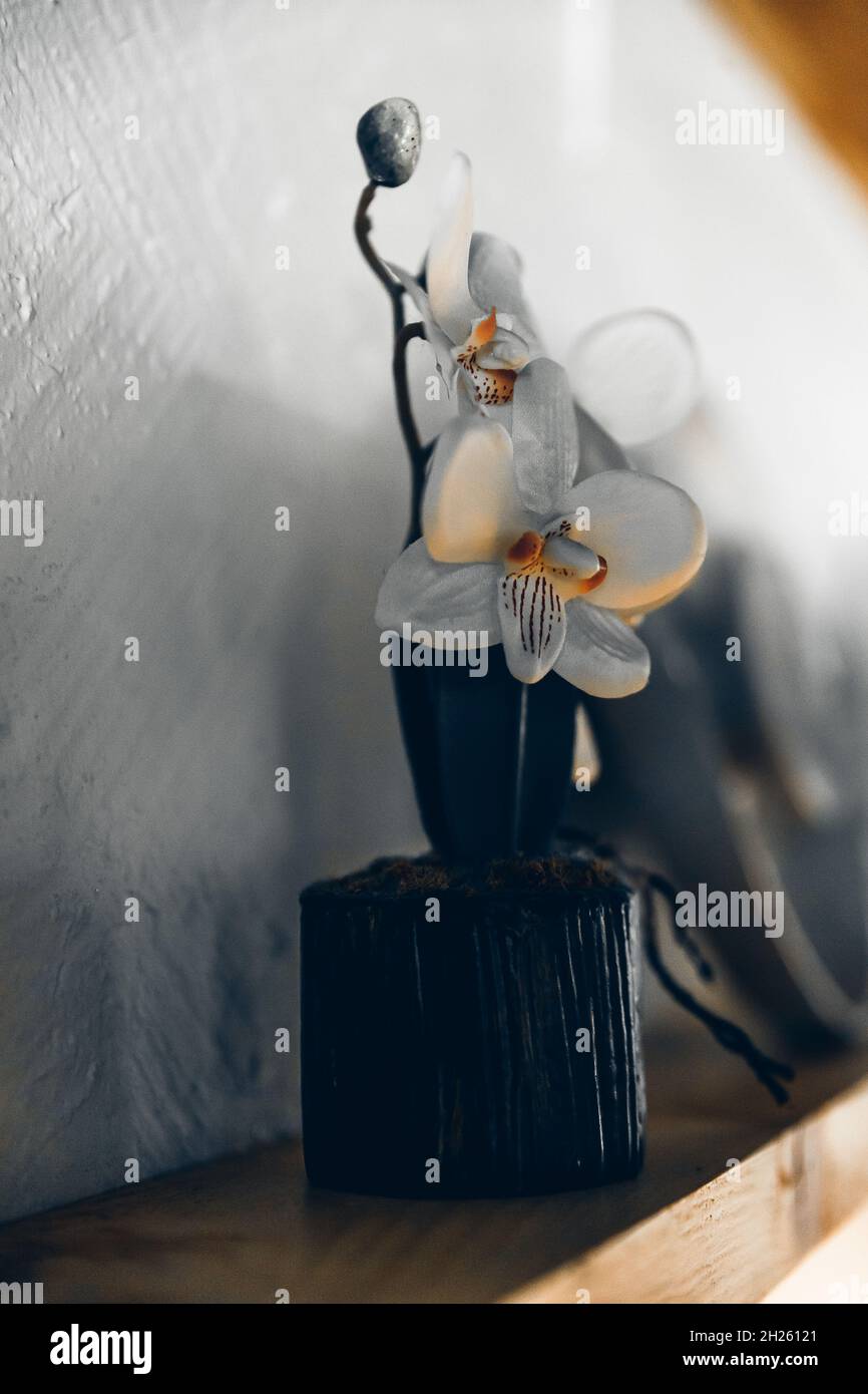 Beautiful shot of a detailed restaurant interior Stock Photo