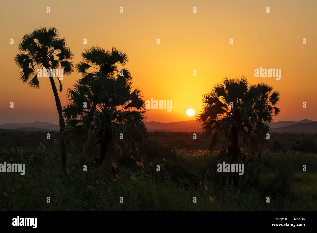 Sunset at Palmwag northern Namibia Africa Stock Photo