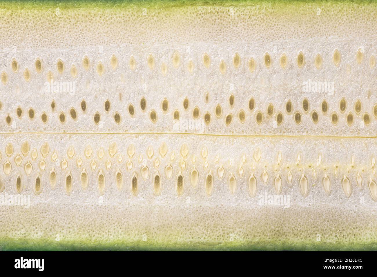 Close-Up of a Sliced Courgette with Seeds Stock Photo