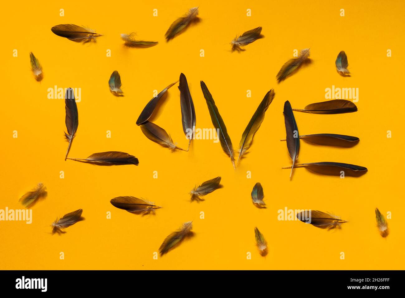 The word love, made of bird feathers, lies on a yellow background. Stock Photo