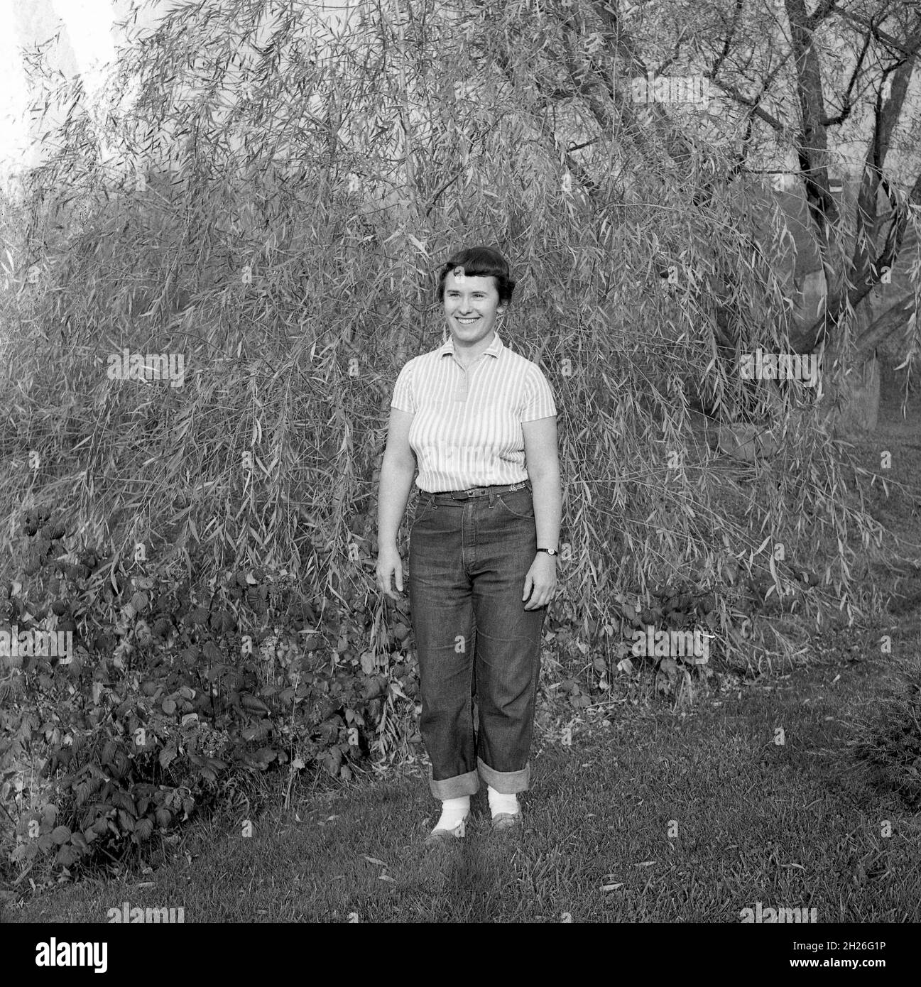 1960s, historical, a young woman standing in a field wearing a short-sleeve top and turn-up bottom demin jeans. These became fashionable and the cool look in the late 1950s, early 60s when rockabilly became popular. Before then, dresses and skirts were the norm for women of all ages and not pants or trousers and demin had only really been worn for manual work. Stock Photo