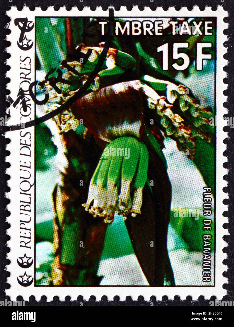 COMOROS - CIRCA 1977: a stamp printed in Comoros shows Blooming Banana, Flowering Plant, circa 1977 Stock Photo