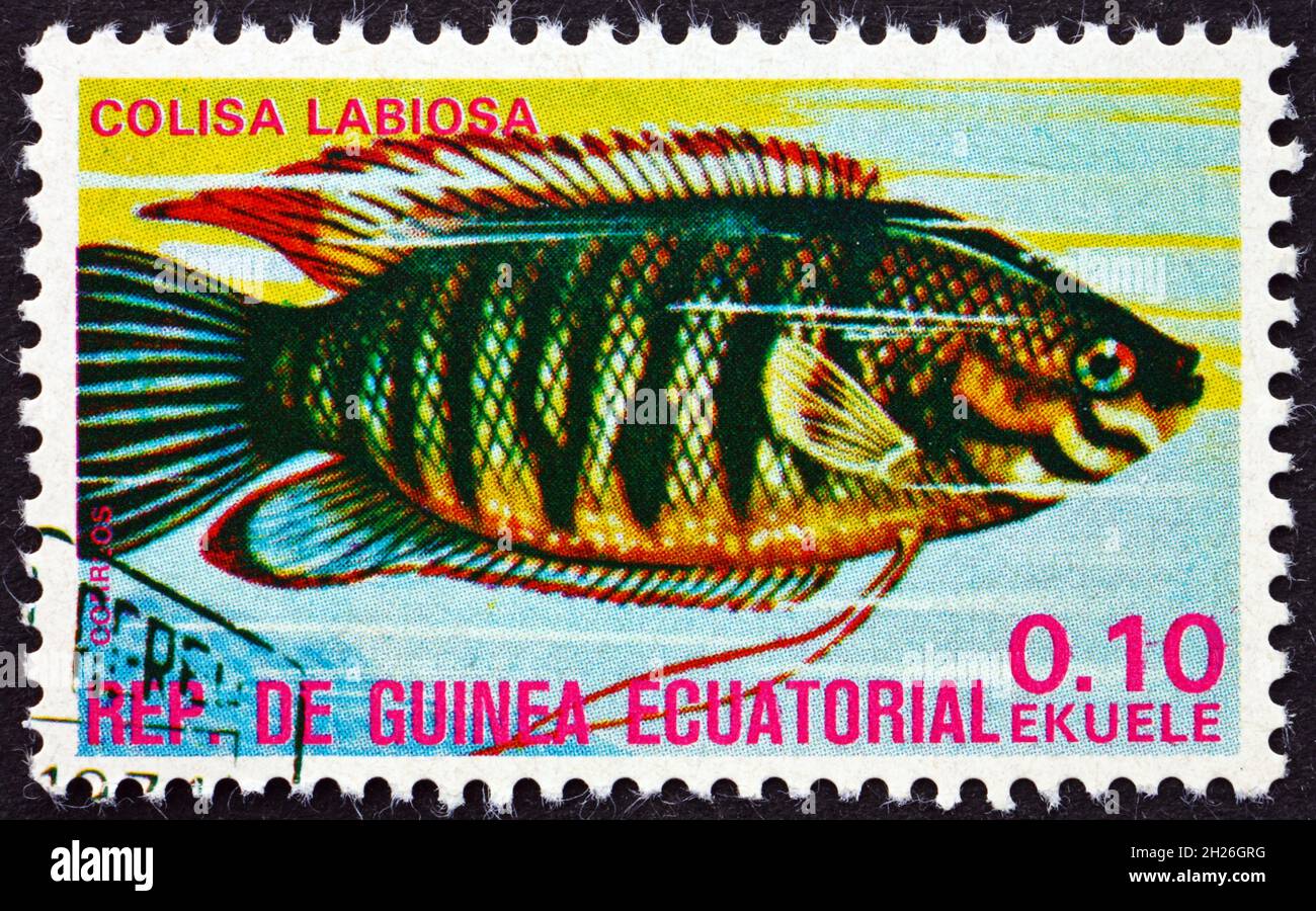 EQUATORIAL GUINEA - CIRCA 1975: a stamp printed in Equatorial Guinea shows Thick-lipped Gourami, Colisa Labiosa, Tropical Fish, circa 1975 Stock Photo
