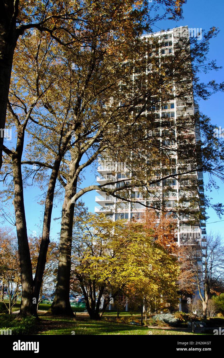 Winton Place condo building behind trees on Gold Coast of Lakewood