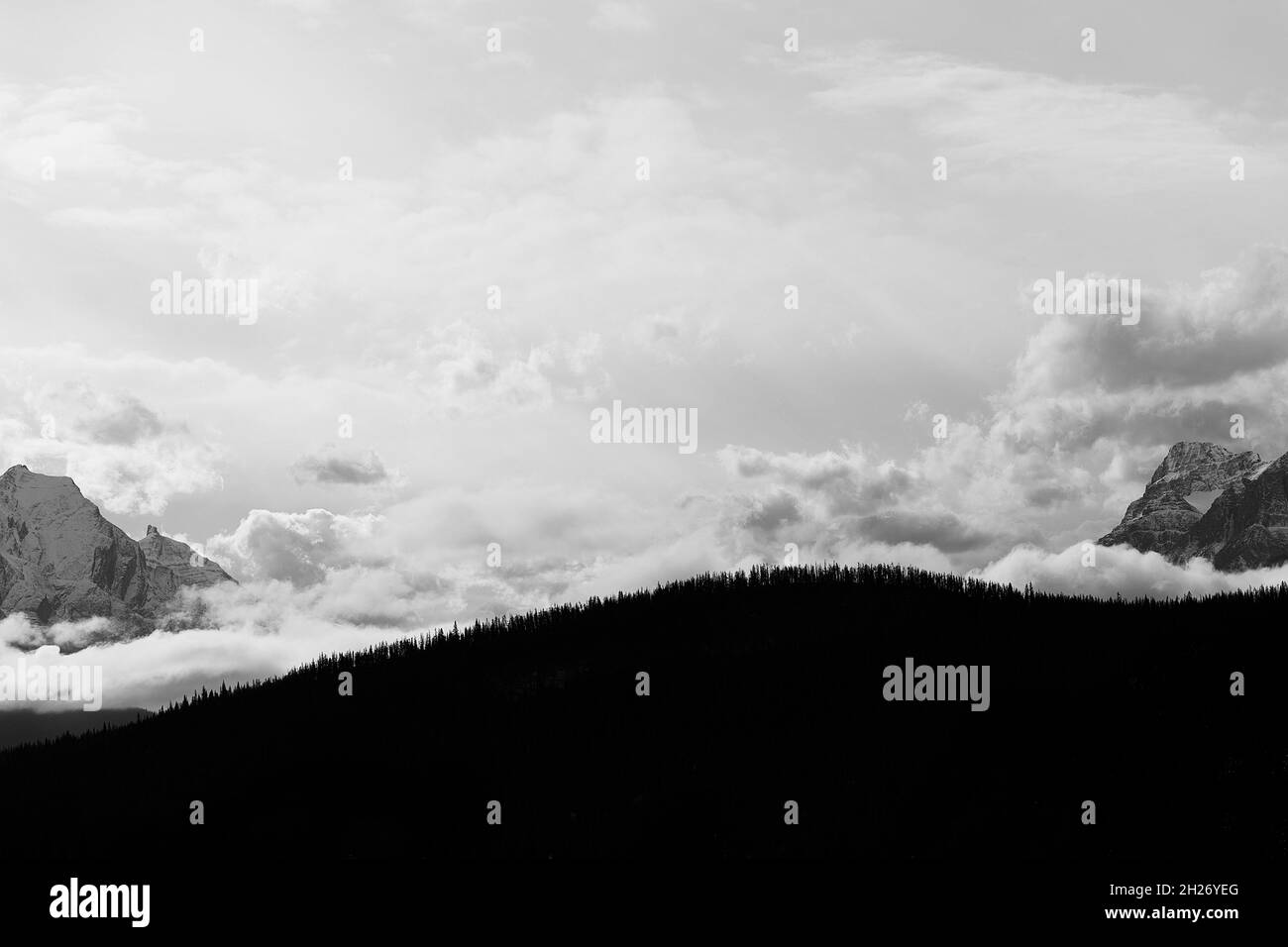 Canadian Rockies in black and white III, Canada Stock Photo - Alamy