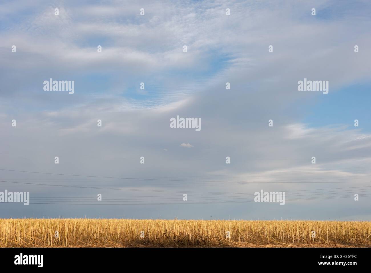 autumn countryside landscape of field after harvest against cloudy sky background Stock Photo