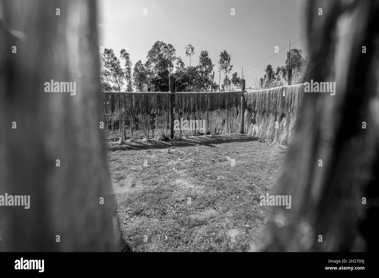 Bangladesh road Black and White Stock Photos & Images Alamy