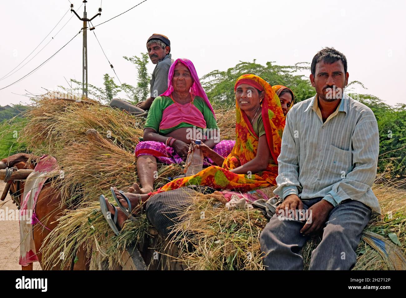 Gujarat, India - October 30, 2016: Family members returning home at the end of a day spent harvesting on their smallholding Stock Photo