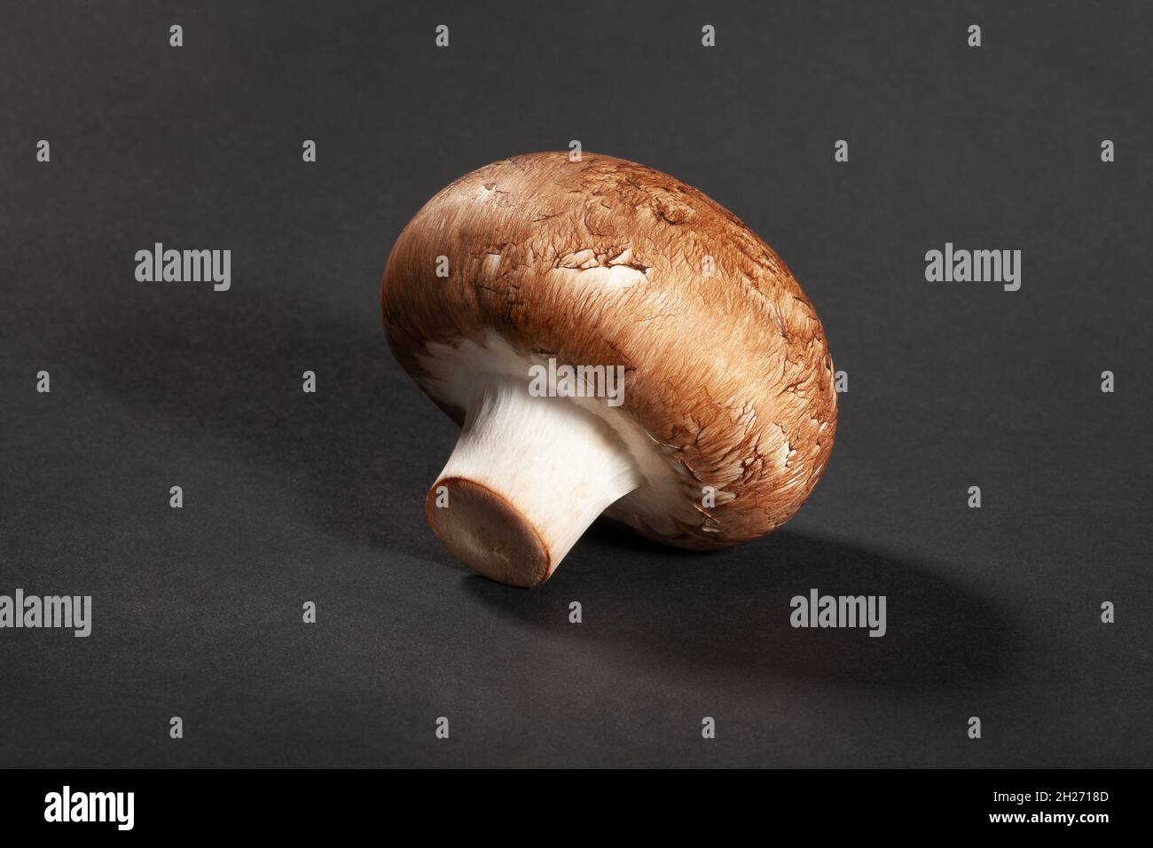 brown mushroom on black background Stock Photo