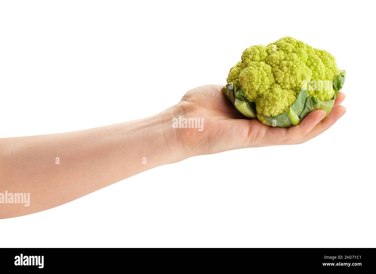 colorful cauliflower in hand path isolated on white Stock Photo Alamy