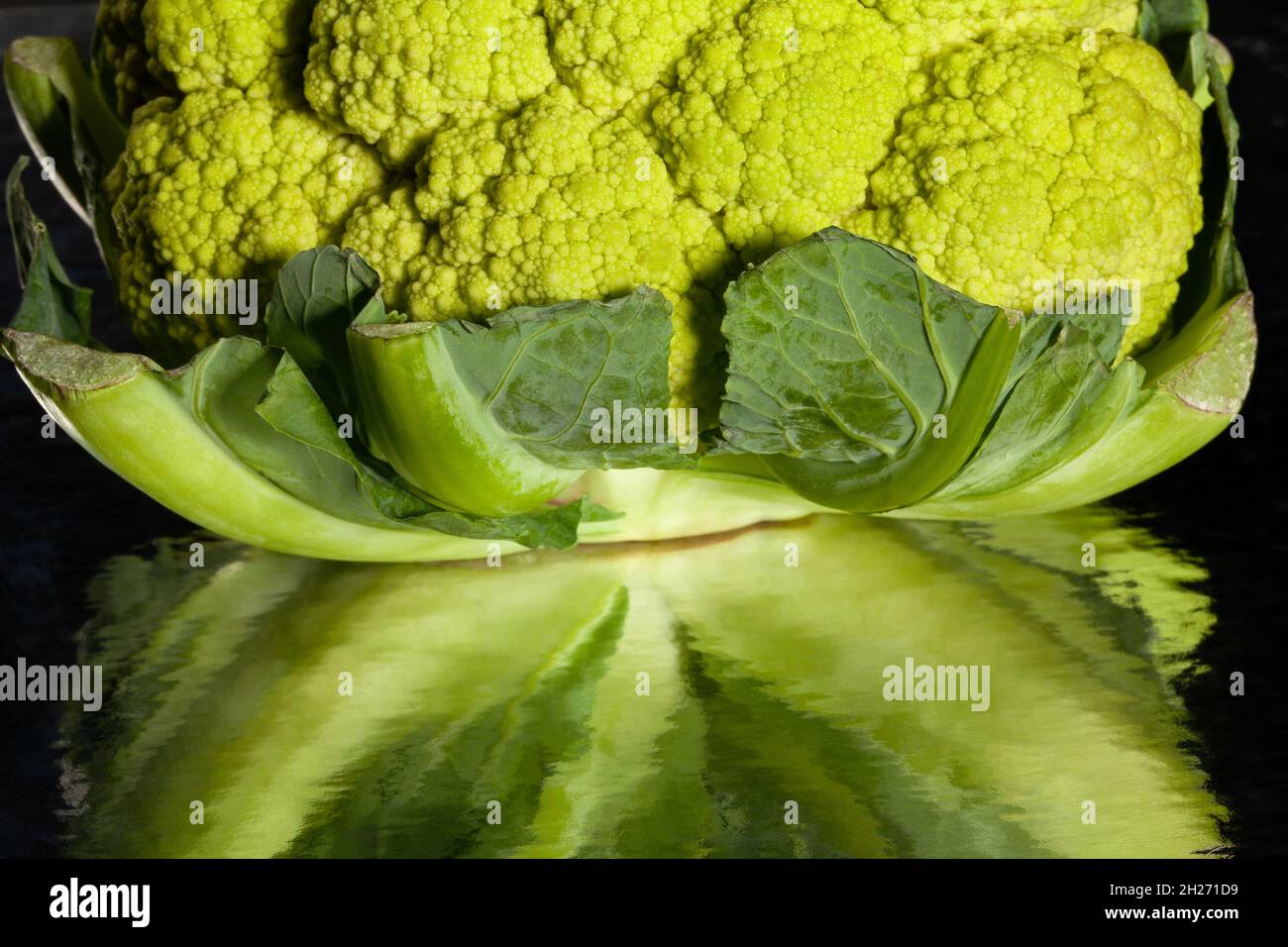 mirrored colorful cauliflower on black background Stock Photo