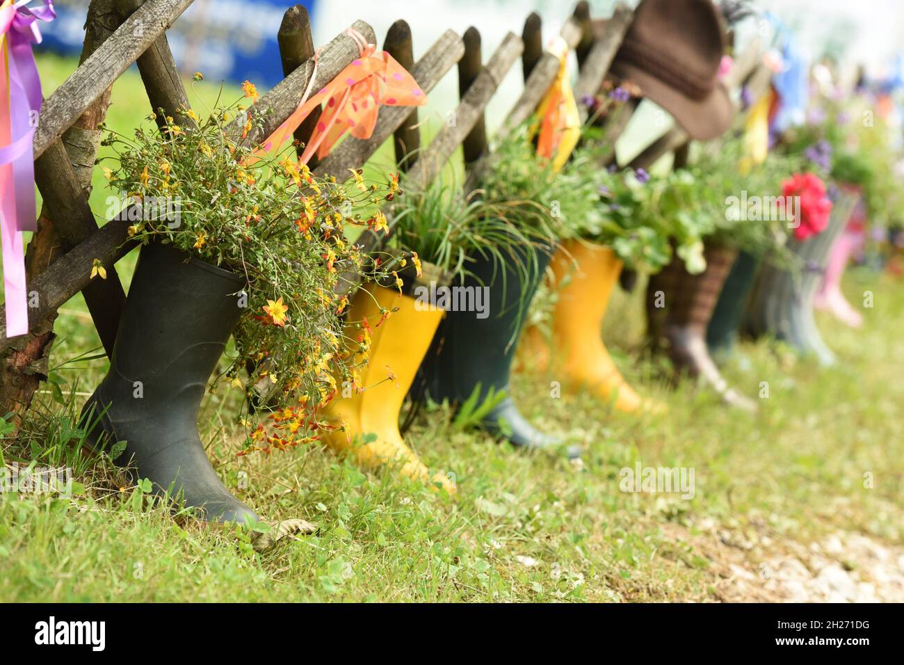 Zweckentfremdete Gummistiefel als Blumentopf im Salzkammergut, Österreich,  Europa - Misappropriated rubber boots as a flower pot in the Salzkammergut  Stock Photo - Alamy