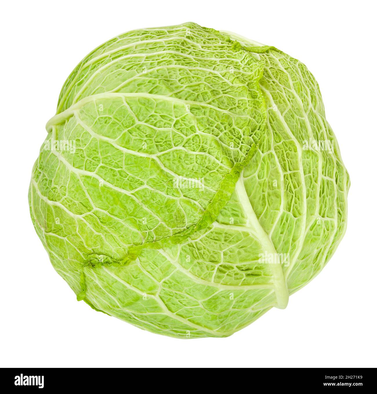 savoy cabbage path isolated on white Stock Photo
